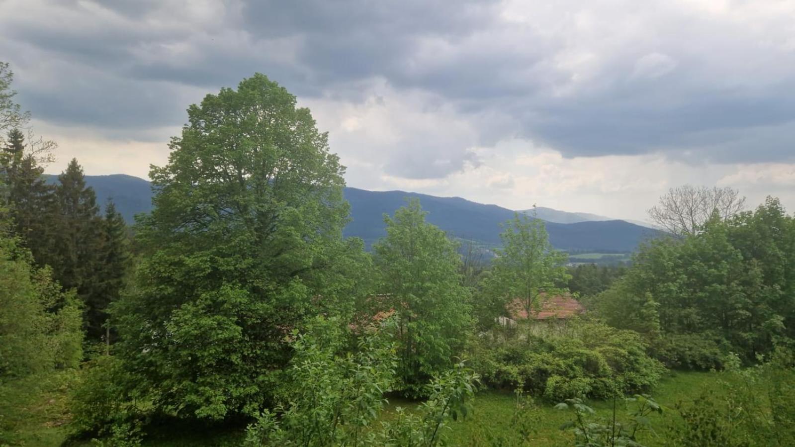 Schoene Unterkunft In Lohberg Mit Grillplatz Und Balkon Buitenkant foto